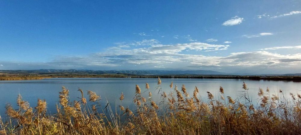 Pescarie,Afacere de vanzare
