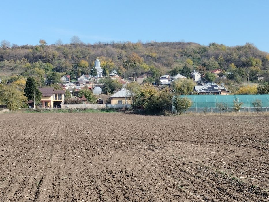 Teren intravilan de 1100 mp, la 2.5 km de Slatina loc. Proaspeți