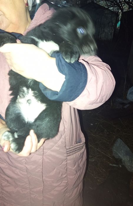 Даром мальчик 5мес