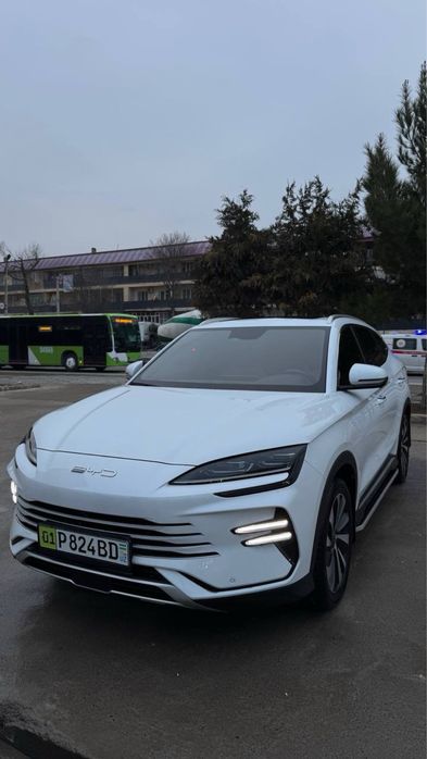 Byd chempion gibrid 2 pozitsiya