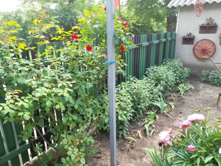 Продава се Къща в с. Дуранкулак, Област Добрич - 98 кв.м за 409 €/кв.м - Снимка #7