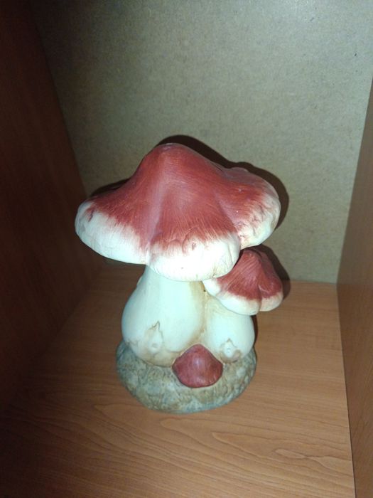 Ciuperca decorativa de gradina