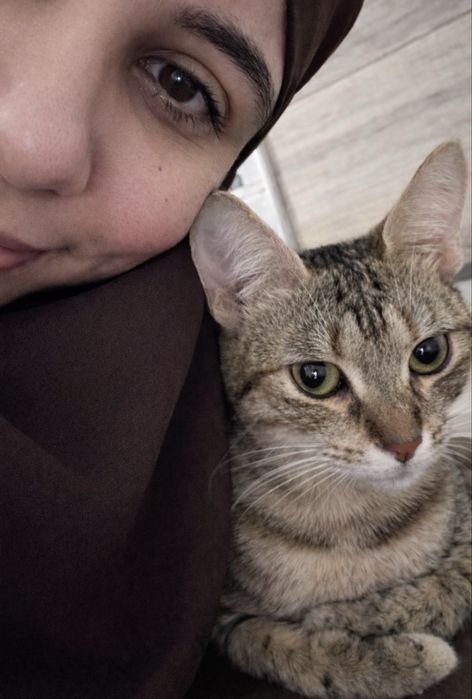 Търси се любящ дом за гальовна котка Зевс