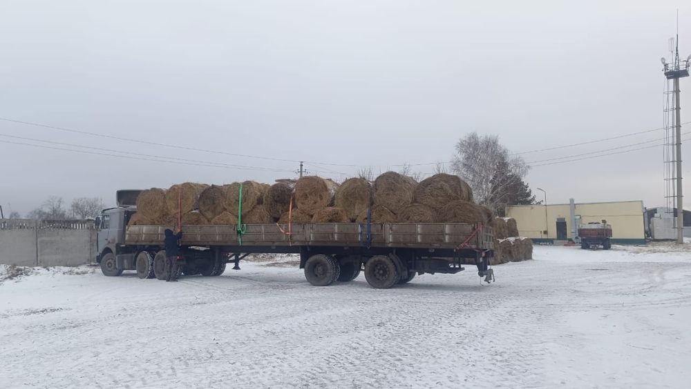 Шаланда, длиномер, тягач.!