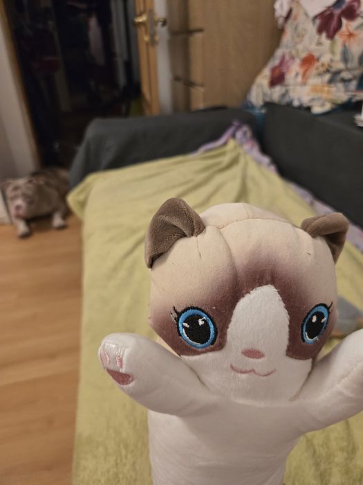 Pisicuta moale si ușoară bună pentru dormit