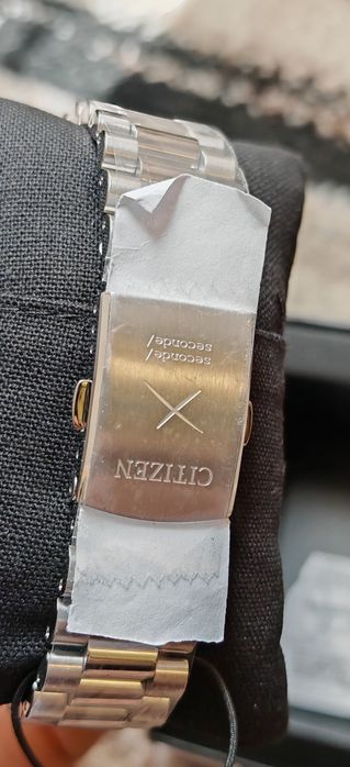 Limited Citizen Tsuyosa seconde