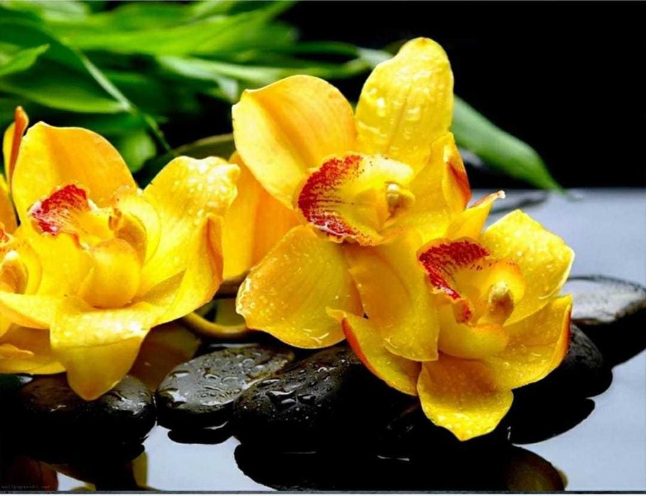 Продам набор алмазной вышивки