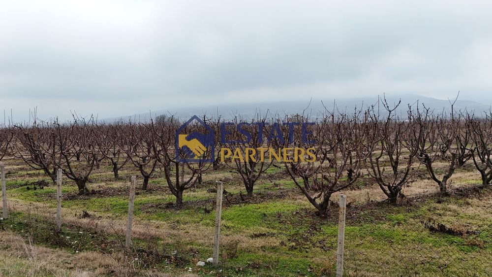 Продава се Парцел в с. Браниполе, Област Пловдив - 8098 кв.м за 18 €/кв.м - Снимка #2