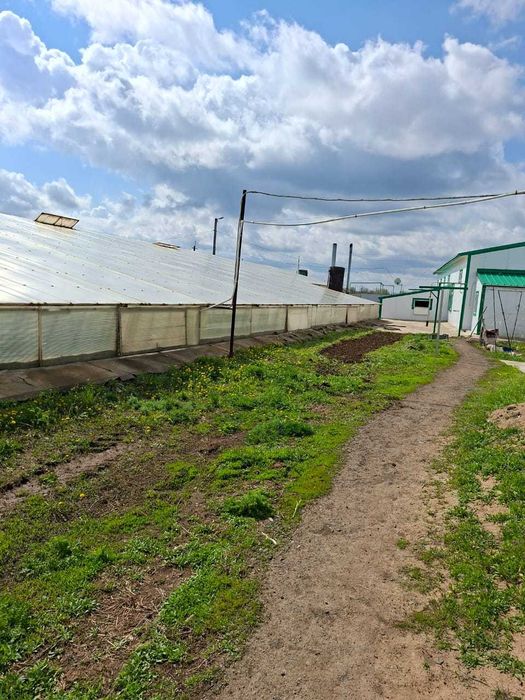 Продам тепличный комплекс