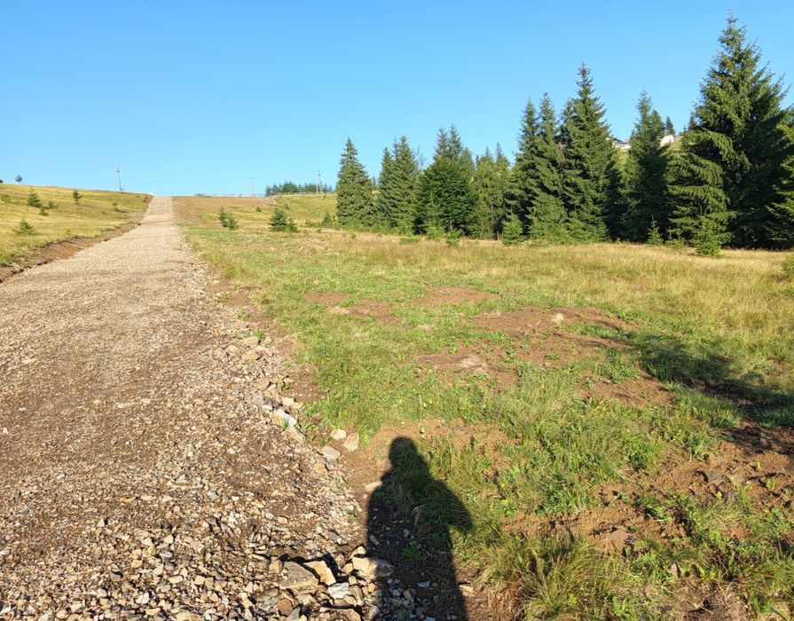Teren  Piatra Fântânele / Pasul Tihuta 1.450  euro/ar