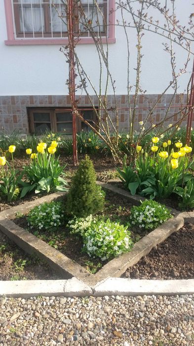 Продава се Къща в с. Бутан, Област Враца - 360 кв.м за 190 €/кв.м - Снимка #7