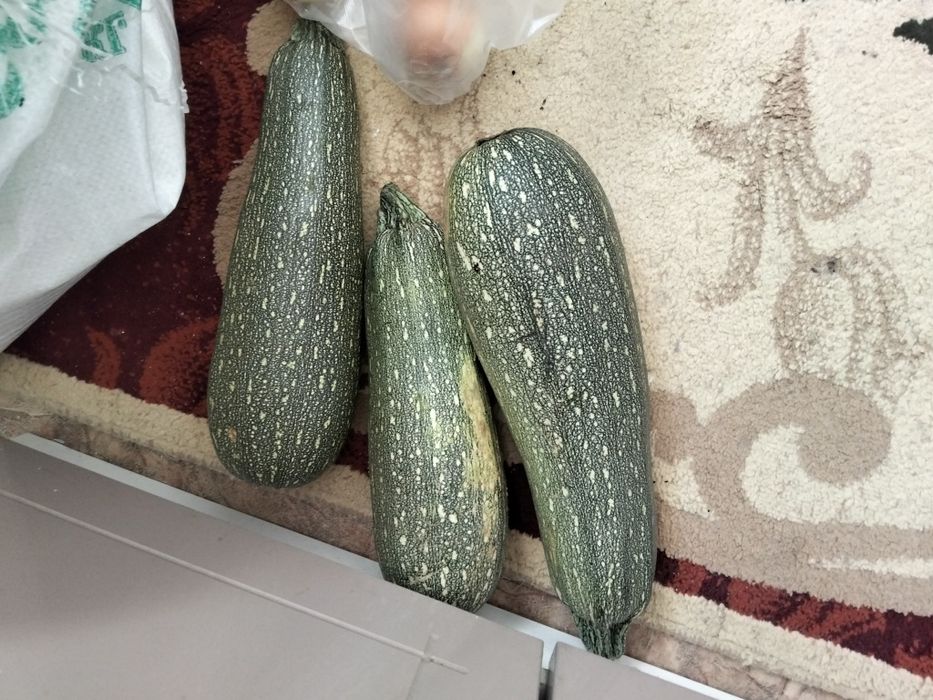 Кабачки домашний свежий