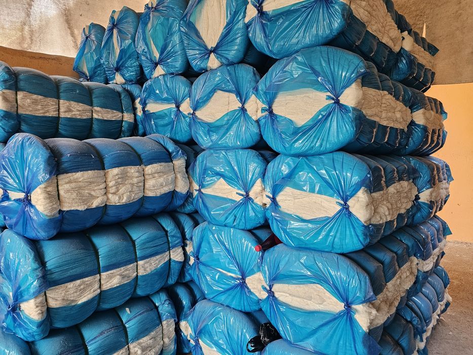 Toy paxta Paxtadek Oppoq