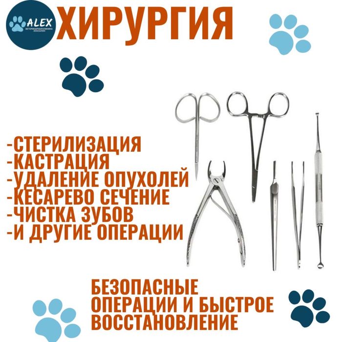 Ветеринарная клиника в городе Каскелен