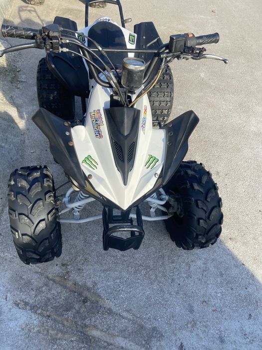 атв перфектно 110сс