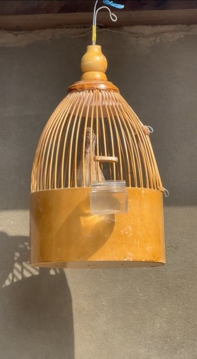 Italiya bedanala sotiladi, Италия беданала сотилади