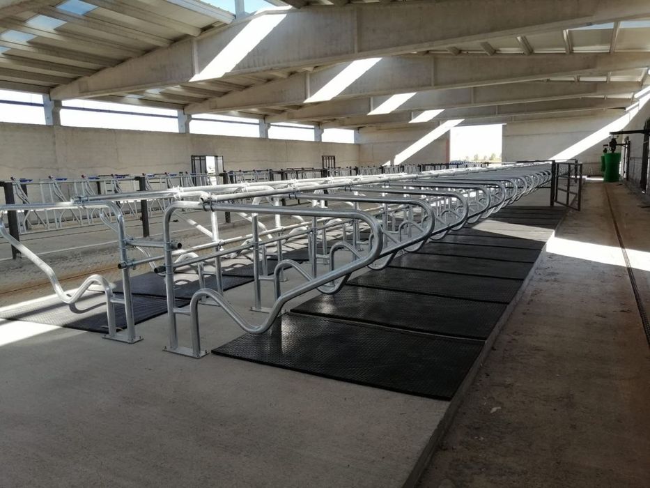 Столовые разделители для коров (лежанки)