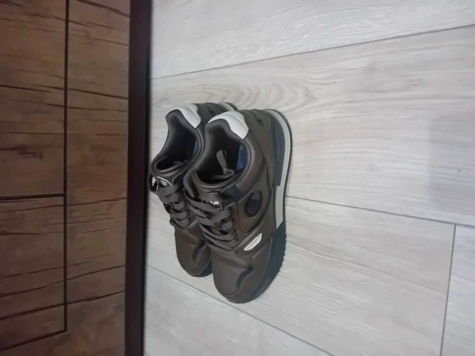 Dshampion 42 номер