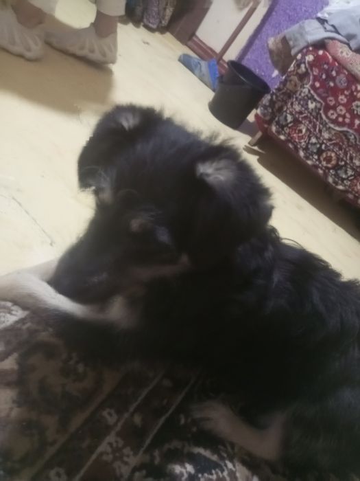 Бесплатно одаётся