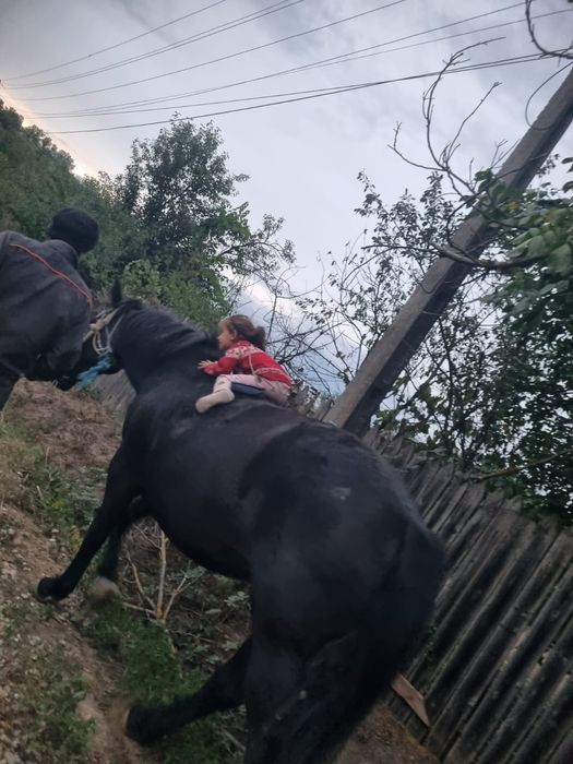 vand iapa ,10.000 negociabil