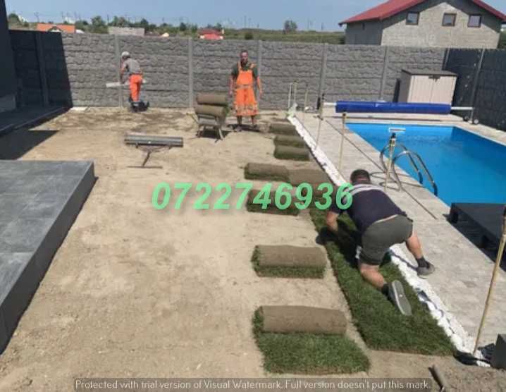 Gazon Natural de Calitate pentru Curți și Grădini