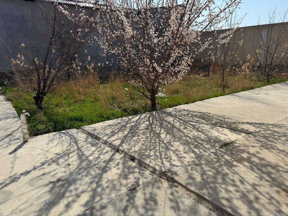 №3840.Коттедж яхши Ойлага ижорага бераман.