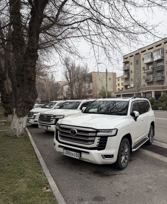 Прокат авто с водителем самые низкие цены