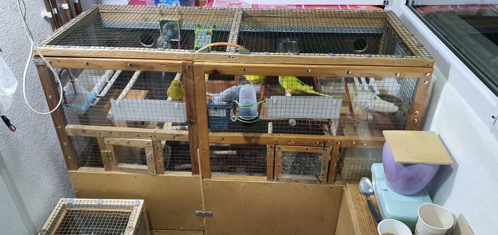 Vând Volieră și 7 Peruși