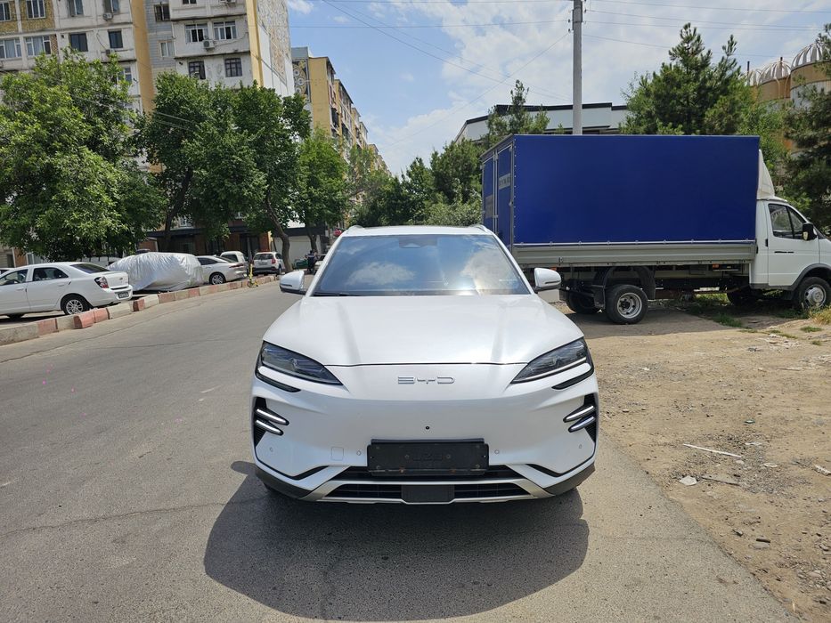 Byd Champion 605