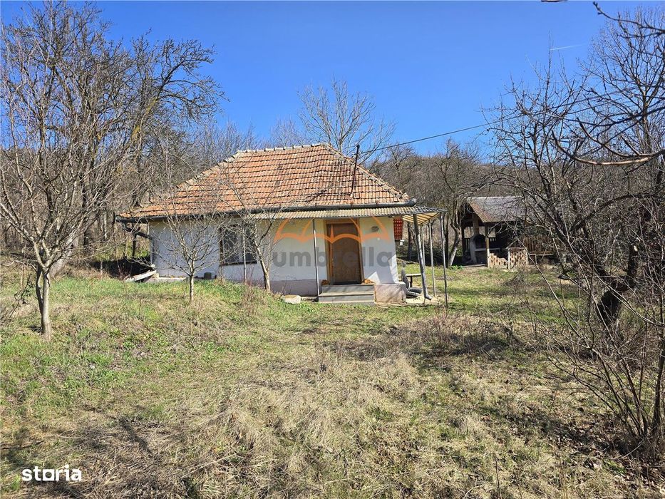 Casa de vanzare + Teren 11.400m², Corpadea