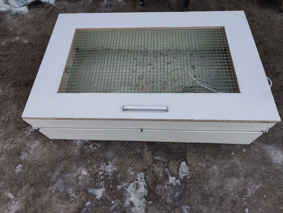 Брудер для цыплят