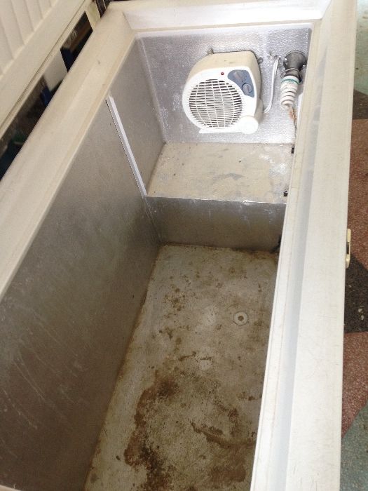 Брудер за малки пилета и растения