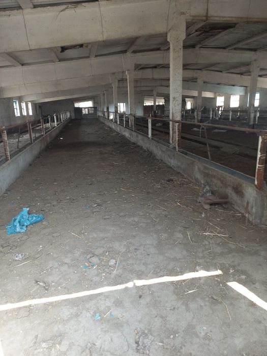 Нотурар жой. Молхона