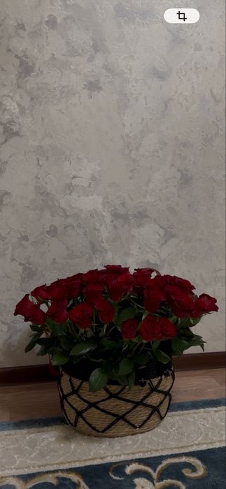 Цветы свежый.             ,