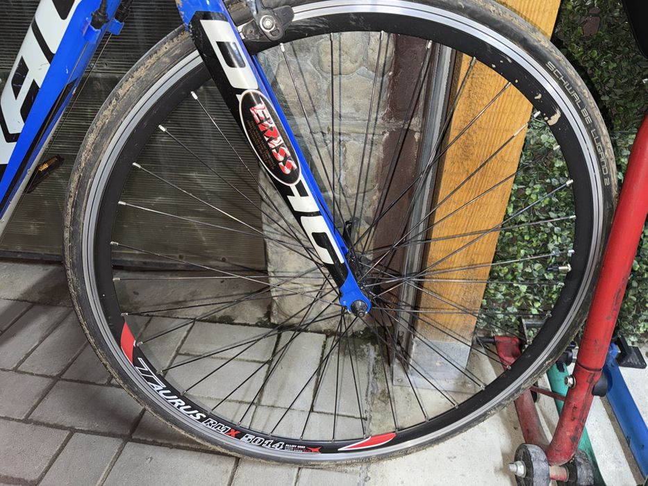 Cursiera Drag master