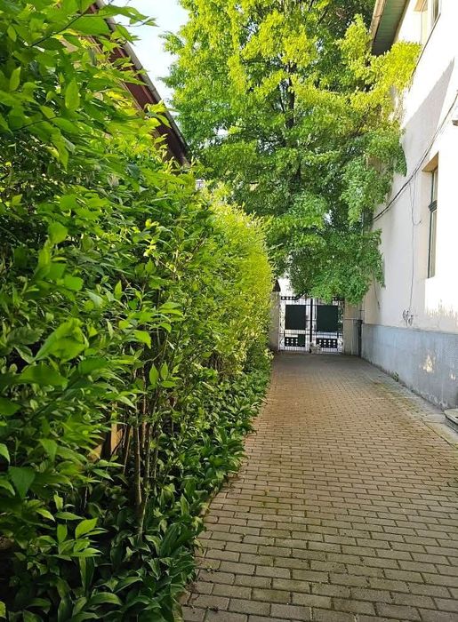 Apartament la casă curte comună