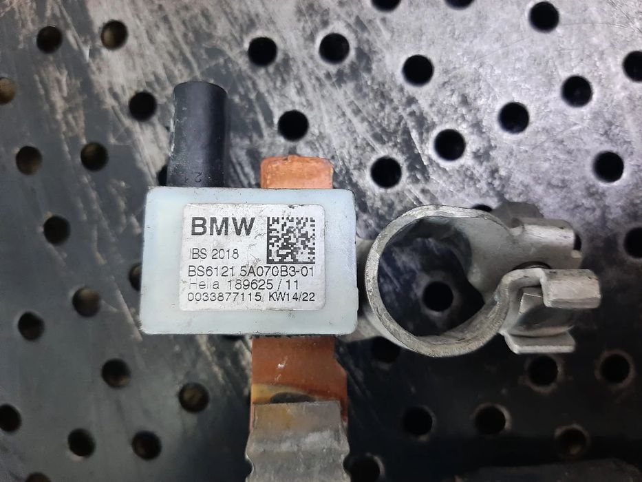 borna minus  cu capra pirotehnica  bmw seria 1 f40  5a070b3-01