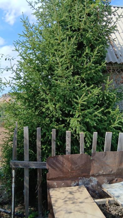 Продается дача СПП