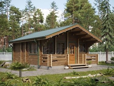 Дома, бани, беседки, навесы