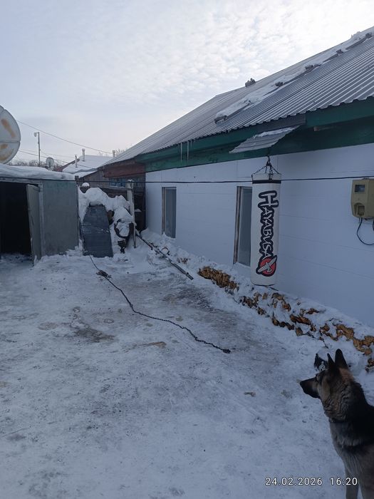 Продам дом в рабочем дом на два хозяина