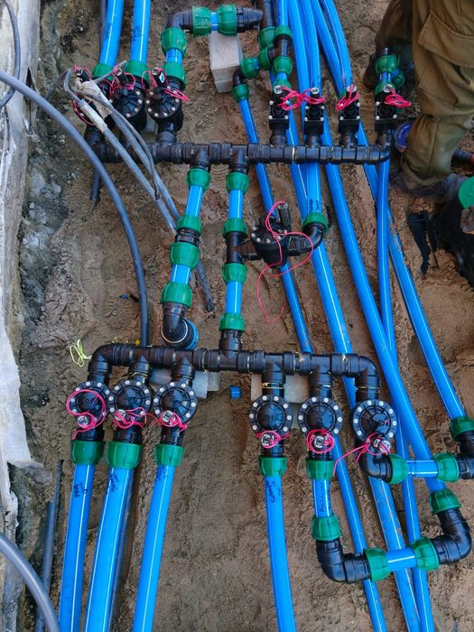 Озеленение. Проектирование.