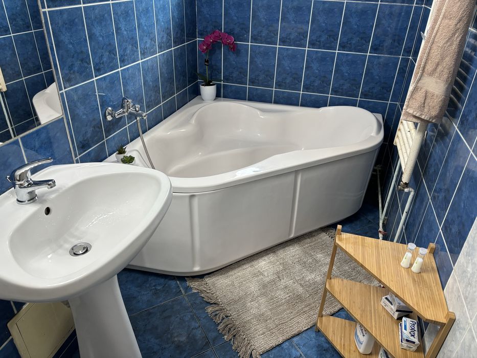Apartament 3 camere pet friendly