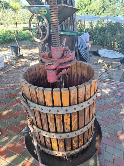 Vând teasc struguri