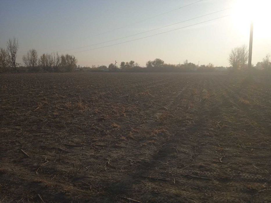 3.35 Gektar yer maydoni sotiladi (biznesingiz uchun qulay lokatsiya)