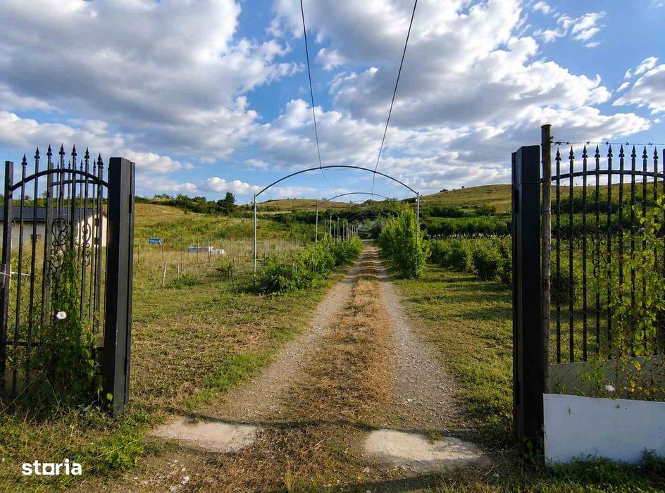 De vânzare | Casă de vacanță cu teren de 4.453 mp | Cojocna
