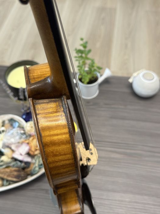 Vand vioara intreaga 4/4 model Maggini