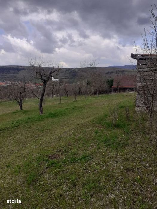 Teren intravilan 6.000 mp, Suceagu – zona linistita, aproape de