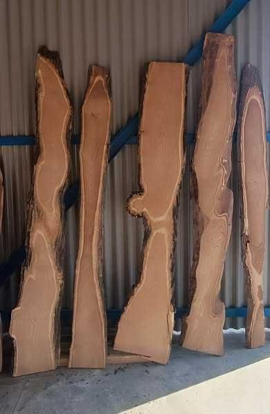 Орехов материал на янове