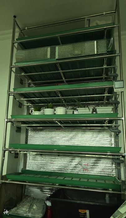 Гидропоника, сити-ферма