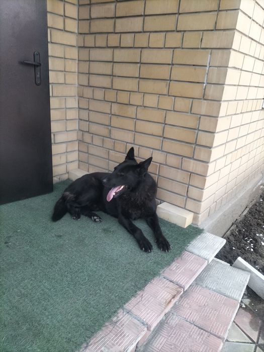 Вязка мальчик 4 года